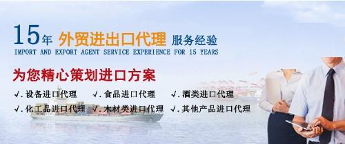 上海乳清蛋白进口报关如何付汇 电汇代理操作
