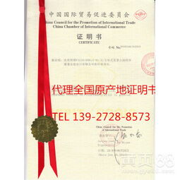 上海网上贸易代理 数字化时代的商业桥梁