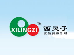 东莞市西灵子食品贸易 开启饮料行业新商机，火爆糖酒食品招商网助力代理合作